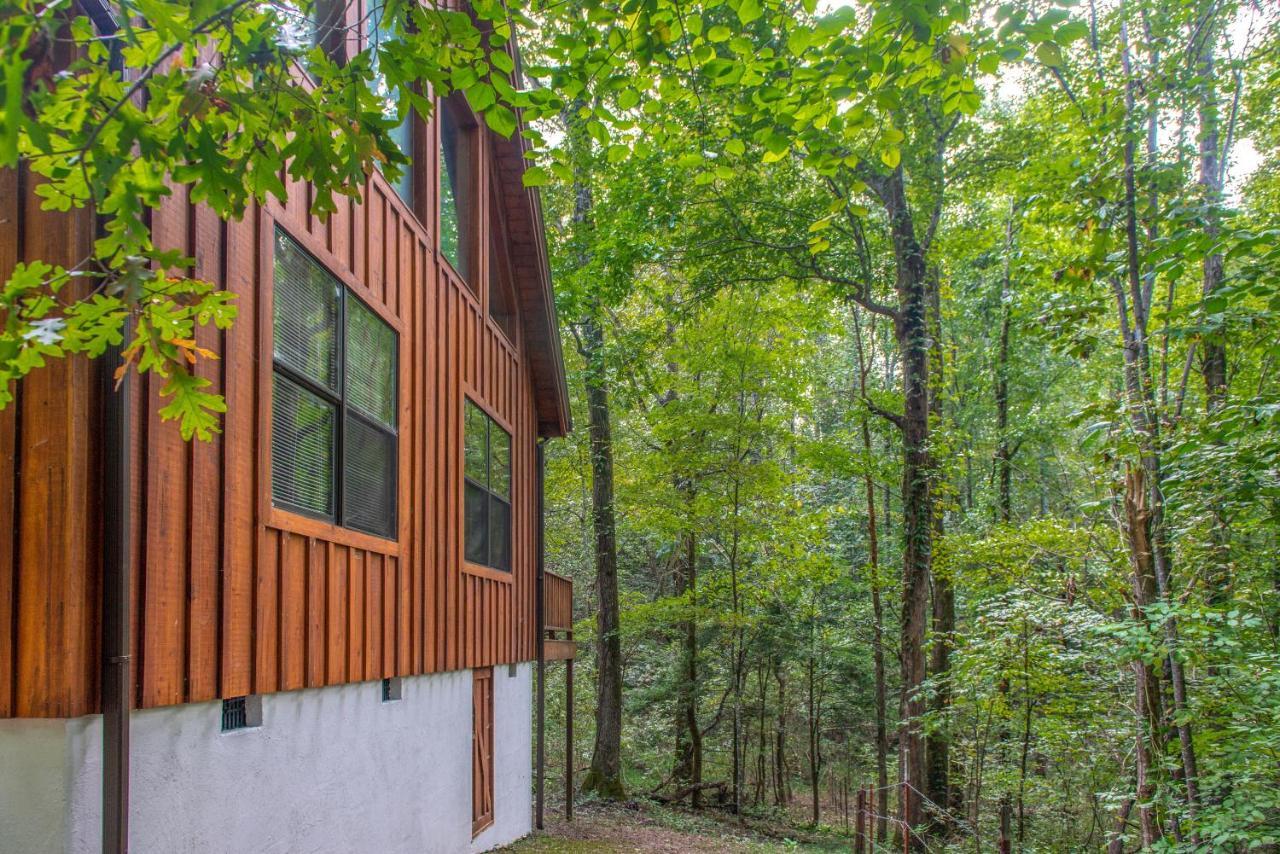 Friendly Bear Cabin Pigeon Forge Exteriör bild